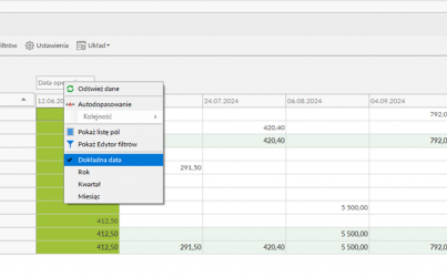 Business Intelligence Tabele Przestawne enova365_9