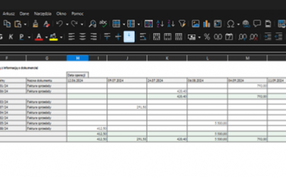 Business Intelligence Tabele Przestawne enova365_12