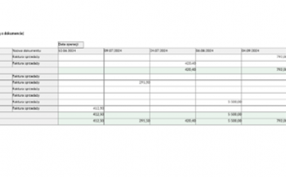 Business Intelligence Tabele Przestawne enova365_13